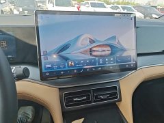 BYD Song L DM-i Smart Drive 112km Exceed - ფოტო 12