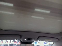 BYD Yuan Pro 2021 401KM Deluxe - ფოტო 17