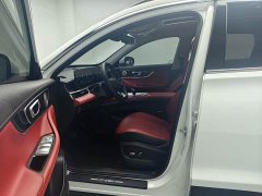 Chery Tiggo 7 PLUS 1.6T GDI DCT Premium - ფოტო 12