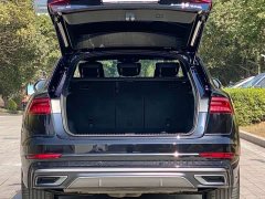 Audi Q8 55 TFSI Dynamic Prestige - ფოტო 16