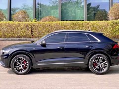 Audi Q8 55 TFSI Dynamic Prestige - ფოტო 7