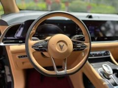 Voyah Dream PHEV Extended Range Luxury Edition - ფოტო 9