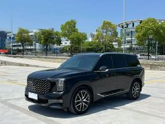 GAC Aion GS8 Pioneer Series 2.0T GDI AWD Luxury 7-Seater - ფოტო 3
