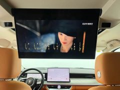 Tank 500 New Energy 2026 Hi4-Z Smart Comfort Edition - ფოტო 15