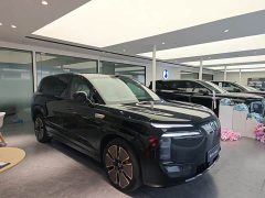 Denza BYD Denza N8L Flagship - ფოტო 15