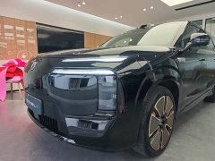 Denza BYD Denza N8L Flagship - ფოტო 5