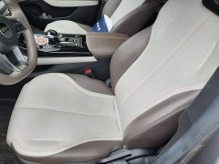 BYD Qin PLUS Glory Edition DM-i 55KM Leading - ფოტო 11