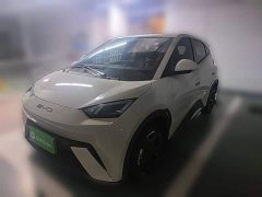 BYD Seagull Flying Edition - ფოტო 1