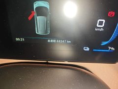 BYD Seagull Flying Edition - ფოტო 8