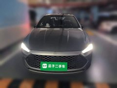 BYD Qin Plus 2021 DM-i 55KM Flagship - ფოტო 2