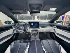 BYD Qin Plus DM-i 120KM Flagship - ფოტო 10