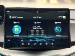 BYD Qin Plus DM-i 120KM Flagship - ფოტო 14