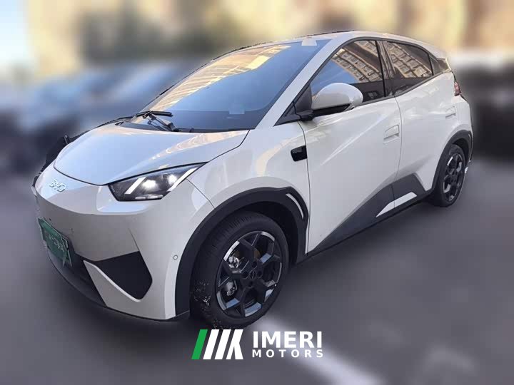 BYD Seagull Smart Driving Edition 305km Freedom Edition - ავტომობილი ჩინეთიდან