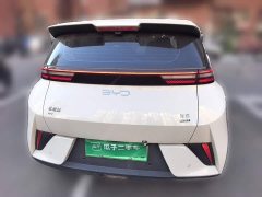 BYD Seagull Smart Driving Edition 305km Freedom Edition - ფოტო 3