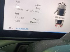 Xpeng P7 2020 670N - ფოტო 13