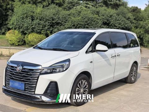 2023 Buick GL8 Land Executive Cabin Premium - ავტომობილი ჩინეთიდან