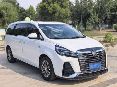 Buick GL8 Land Executive Cabin Premium - ფოტო 3