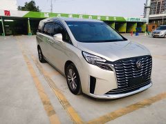 Buick GL8 ES Luxe Enjoyment Edition - ფოტო 5