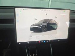 Tesla Model Y Rear-Wheel Drive - ფოტო 8