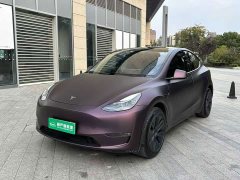 Tesla Model Y Long Range All-Wheel Drive - ფოტო 1