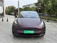 Tesla Model Y Long Range All-Wheel Drive - ფოტო 2
