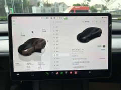 Tesla Model Y Long Range All-Wheel Drive - ფოტო 4