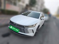 BYD Destroyer 05 2022 DM-i 120KM Luxury - ფოტო 1