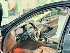 BMW 5 Series 530Li Luxury M Sport Package - ფოტო 6