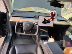 Tesla Model 3 Rear-Wheel Drive - ფოტო 5
