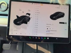 Tesla Model 3 Rear-Wheel Drive - ფოტო 7