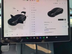 Tesla Model 3 Rear-Wheel Drive - ფოტო 8