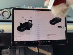 Tesla Model 3 Rear-Wheel Drive - ფოტო 9