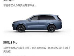 Li Auto L8 Pro - ფოტო 20