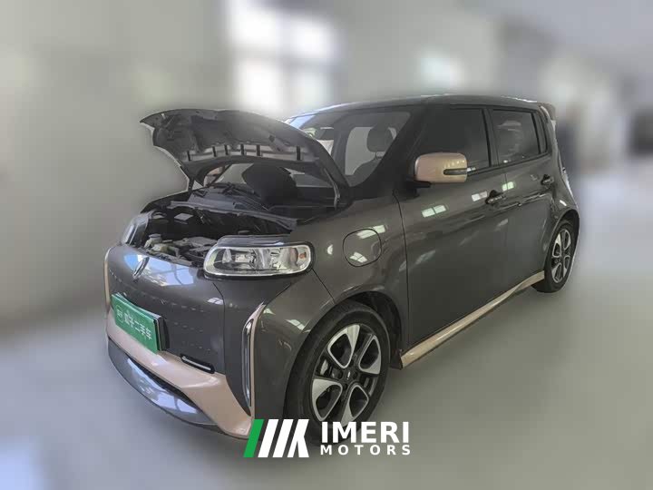 ORA White Cat Little Wildcat 360km Luxury Ternary Lithium - ავტომობილი ჩინეთიდან