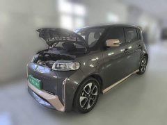 ORA White Cat Little Wildcat 360km Luxury Ternary Lithium - ფოტო 1