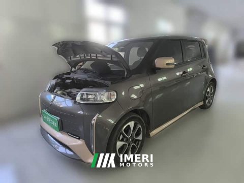 2022 ORA White Cat Little Wildcat 360km Luxury Ternary Lithium - ავტომობილი ჩინეთიდან