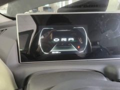 ORA White Cat Little Wildcat 360km Luxury Ternary Lithium - ფოტო 12