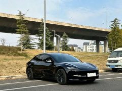 Tesla Model 3 2023 Rear-Wheel Drive - ფოტო 1