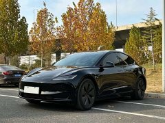Tesla Model 3 2023 Rear-Wheel Drive - ფოტო 3