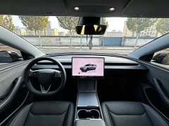 Tesla Model 3 2023 Rear-Wheel Drive - ფოტო 6