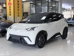 BYD Seagull Freedom Edition - ფოტო 1