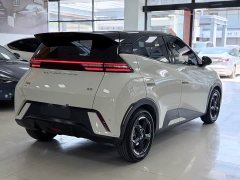 BYD Seagull Freedom Edition - ფოტო 4