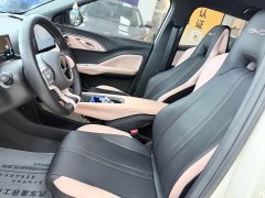 BYD Seagull Freedom Edition - ფოტო 7
