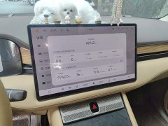 AITO M7 1.5T Intelligent Driving RWD Max 5-Seater - ფოტო 14