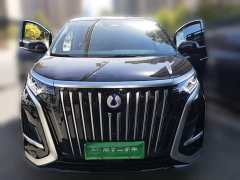Denza BYD Denza D9 2024 EV 620 Premium Edition - ფოტო 2