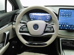 BYD Yuan Plus DM-i 115KM Premium - ფოტო 11