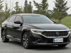 Volkswagen Passat 380TSI Luxury - ფოტო 3