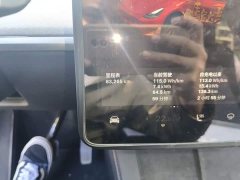 Tesla Model Y 2023 Rear-Wheel Drive - ფოტო 13