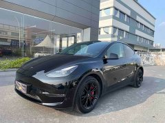 Tesla Model Y 2022 Rear-Wheel Drive - ფოტო 1