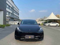 Tesla Model Y 2022 Rear-Wheel Drive - ფოტო 2